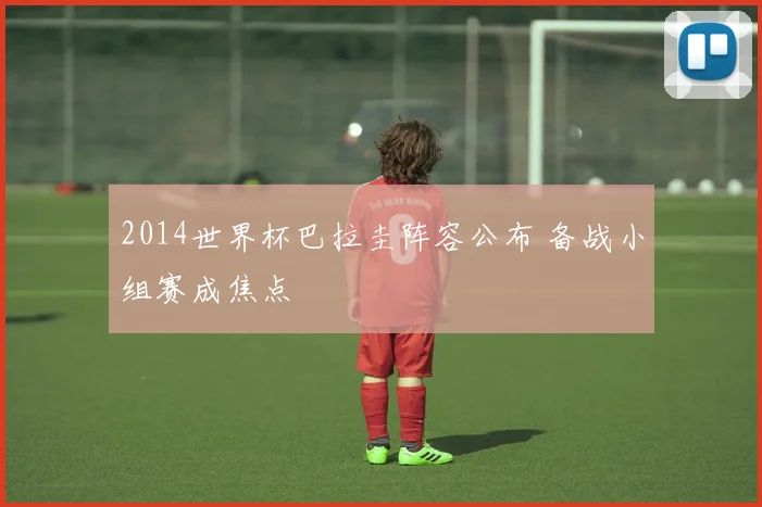 2014世界杯巴拉圭阵容公布 备战小组赛成焦点