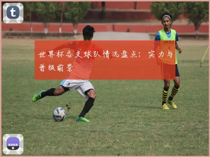 世界杯各支球队情况盘点:实力与晋级前景