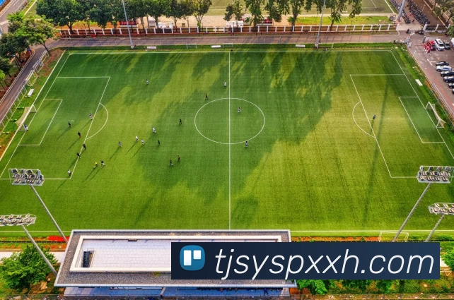 App Interface Preview